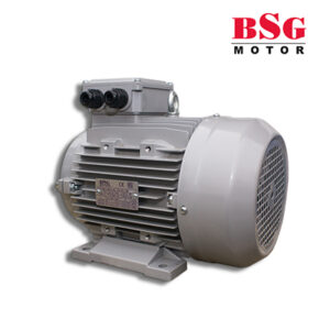 Motor Eléctrico BSG