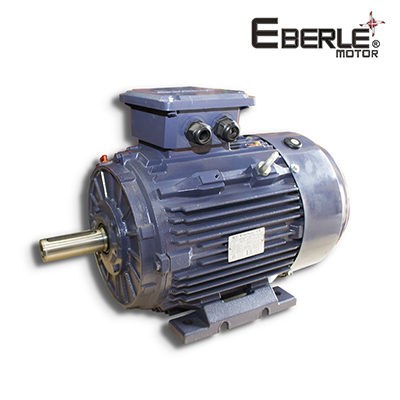 Motor Eléctrico Eberle